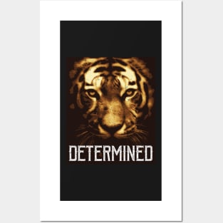 Tiger Determination! for Feline lovers Posters and Art